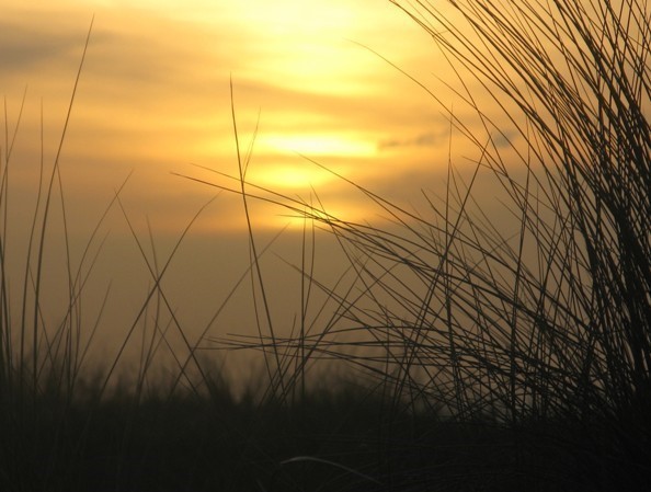 Zonsondergang In De Duinen